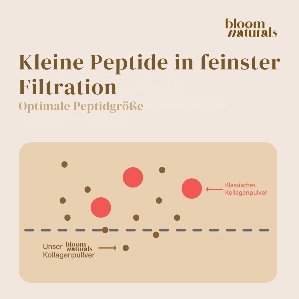 Grassgefüttertes Collagen Pulver 500g - Hochdosiert & Geschmacksneutral Kollagen Hydrolysat Pulver, Peptid Typ 1 & 3 - Kollagen Peptide - produziert in Deutschland - Verpackung kann variieren