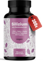 Silizium Komplex 500mg - 300 Kapseln für Haarvitamine