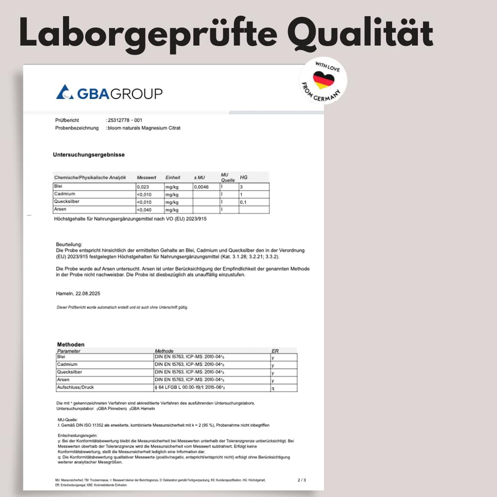 Bioverfügbares Magnesiumcitrat - 250 hochdosierte Kapseln