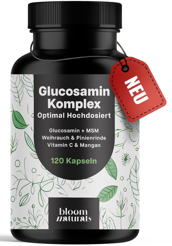 Glucosamin Kapseln Hochdosiert mit MSM & Vitaminen - 120 Stk.