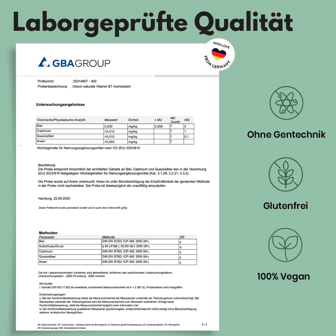 Vitamin B1 250mg - 400 Tabletten, Vegan & Laborgeprüft