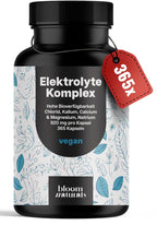 Elektrolyte Komplex 365 Kapseln - Vegan, 920mg pro Kapsel