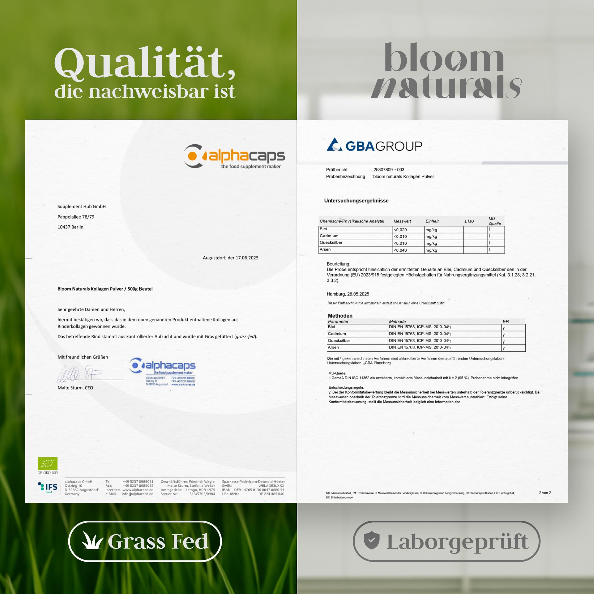 Grassgefüttertes Collagen Pulver 500g - Hochdosiert & Geschmacksneutral Kollagen Hydrolysat Pulver, Peptid Typ 1 & 3 - Kollagen Peptide - produziert in Deutschland - Verpackung kann variieren