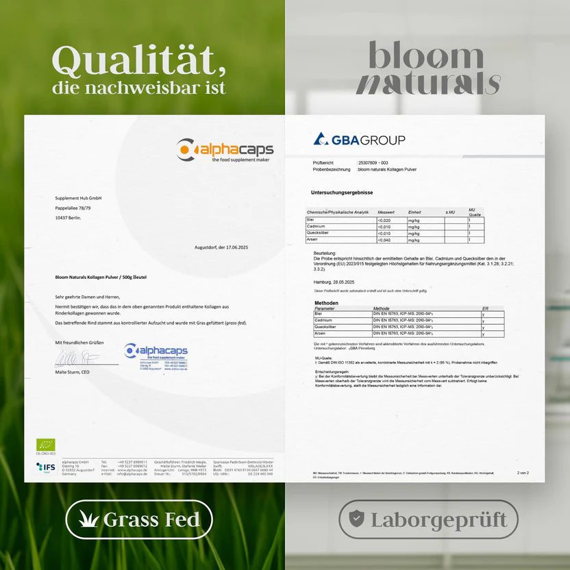 Grassgefüttertes Collagen Pulver 1000g (1 KG) - Hochdosiert & Geschmacksneutral Kollagen Hydrolysat Pulver, Peptid Typ 1 & 3 - Kollagen Peptide - abgefüllt in Deutschland Laborgeprüft
