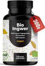 Bio Ingwer Kapseln 300 | 600mg Vegan Hochdosiert