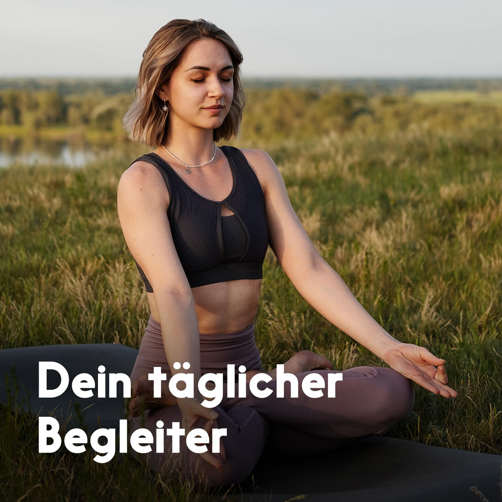 3-in-1 Leberkur: Mariendistel, Artischocke, Löwenzahn - 365 Kapseln